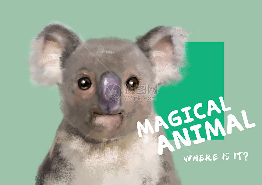 神奇动物——考拉图片