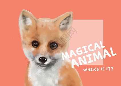 神奇动物——狐狸背景图片