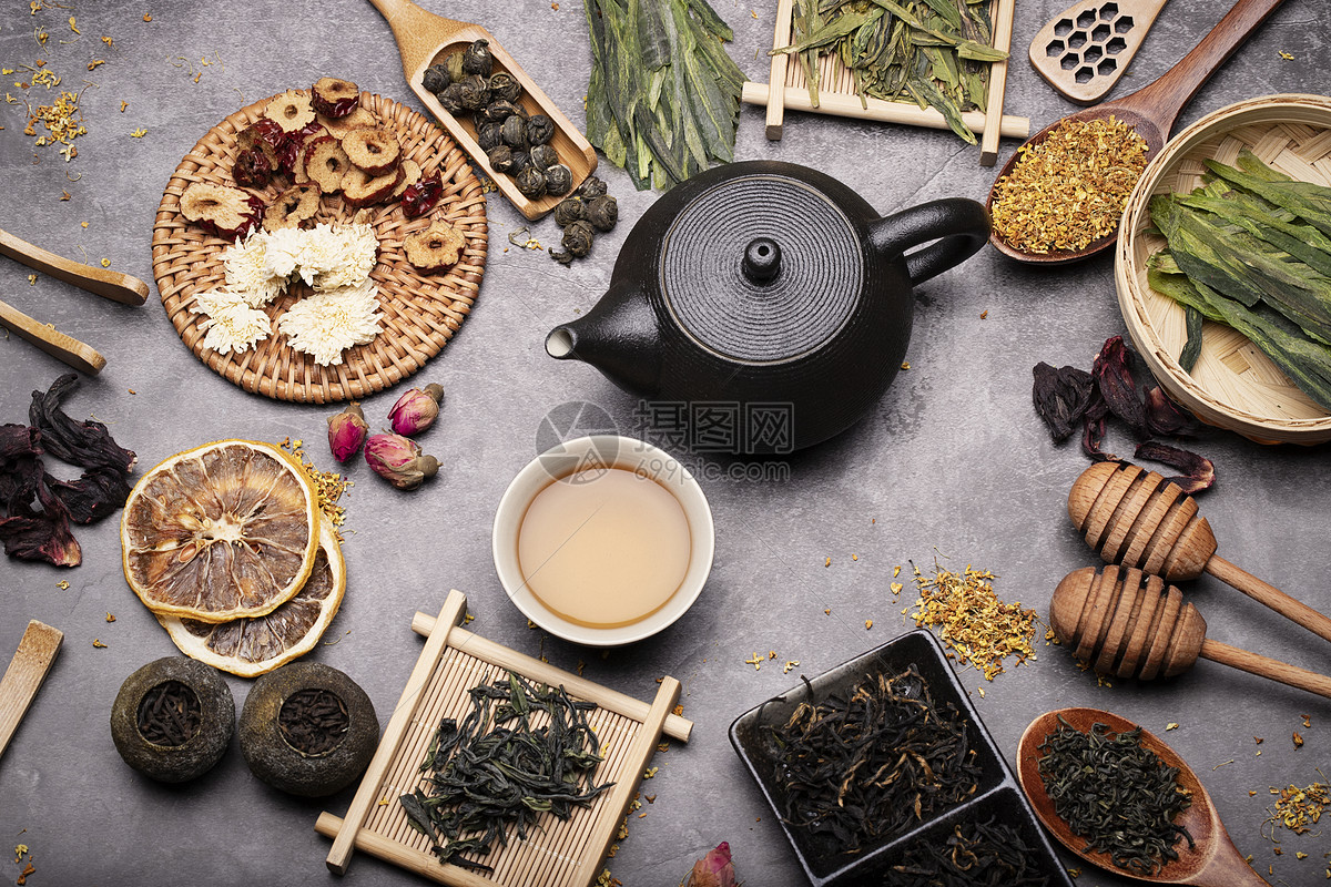 安吉白茶苗价格多少