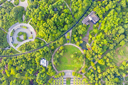 植物绿化俯瞰城市森林公园绿化背景