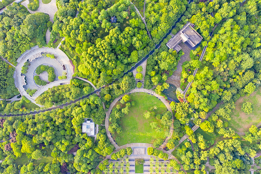俯瞰城市森林公园绿化图片