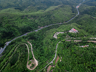 森林道路图片