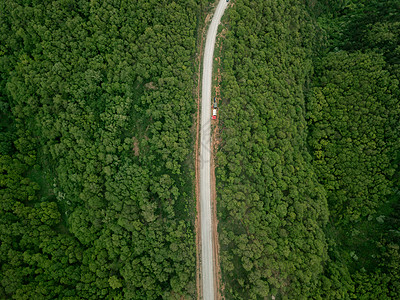 绿色公路原始森林背景