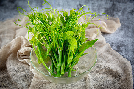 新鲜南瓜尖绿色蔬菜高清图片