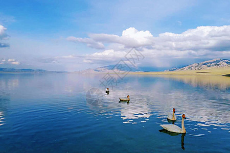 赛里木湖自然美西北湖高清图片