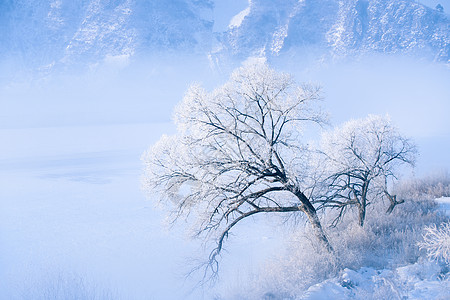 冬天雾凇大雪覆盖高清图片