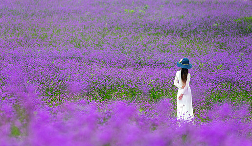 帽子和鲜花花海美女背影背景