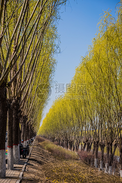 自然风景图片