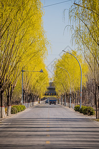 街道风景图片