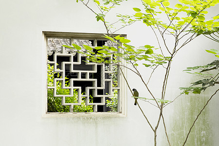 夏天元素中式建筑窗户背景