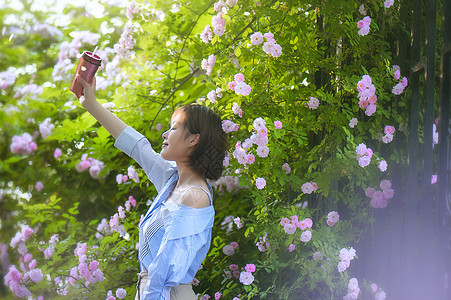 蔷薇夏季女孩背景图片