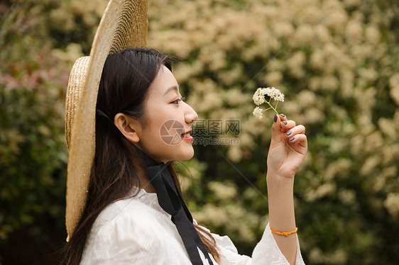 复古美女郊游图片