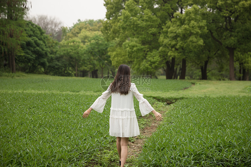 清新美女郊游背影图片