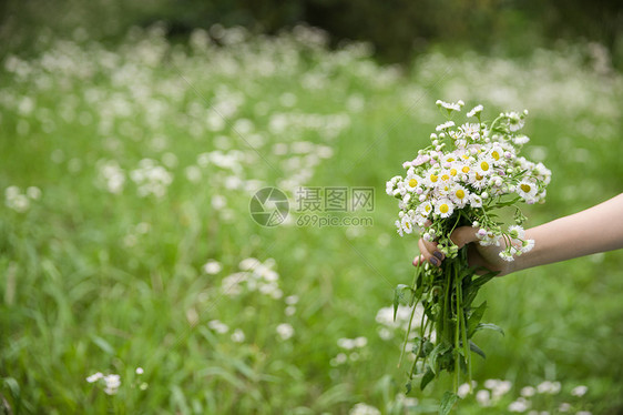 森系女性手持花特写图片