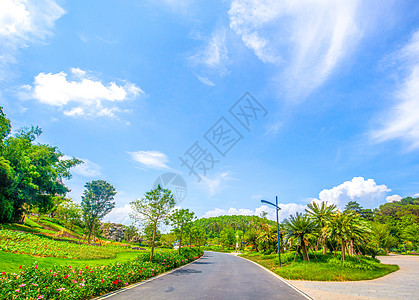 园林小路景区小道高清图片