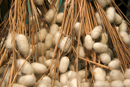 传统手工织布蚕茧背景