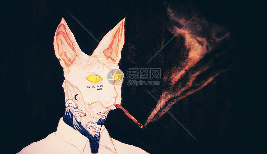 斯芬克斯猫插画图片