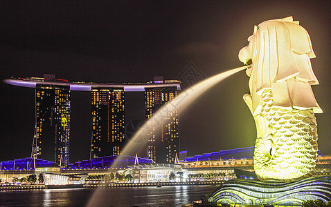 新加坡地标鱼尾狮夜景灯光高清图片素材