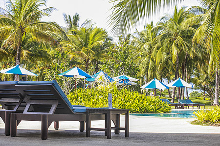 泰国度假酒店泳池边的躺椅和遮阳伞棕榈树高清图片素材