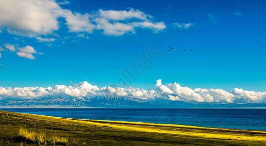 美丽草原的夏季风景图片