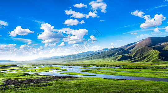 美丽草原的夏季风景阳光高清图片素材