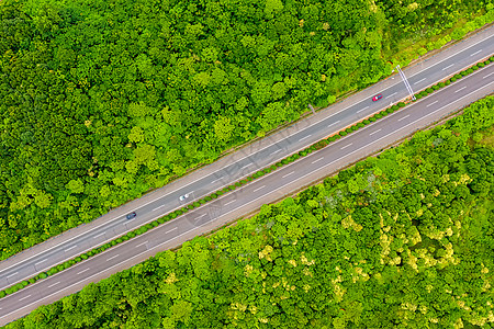 路俯视图航拍树木环绕的高速公路背景