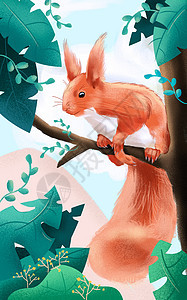 松鼠树林手绘插画图片