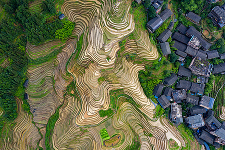 稻田航拍桂林平安寨梯田航拍背景