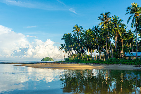 椰子树png海边风光背景