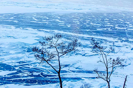 蓝雪花贝加尔湖背景