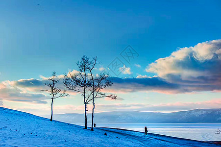 蓝雪花贝加尔湖背景