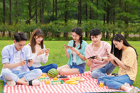 玩手机的美女大学生野餐玩手机游戏背景