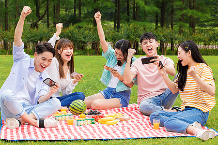 产褥垫大学生野餐玩手机游戏背景