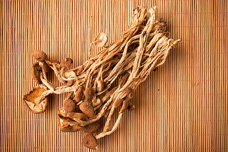 茶树菇茶树菇食材高清图片