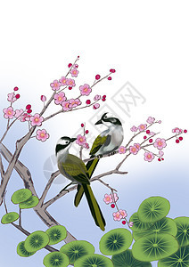梅花松叶白头翁鸟图片