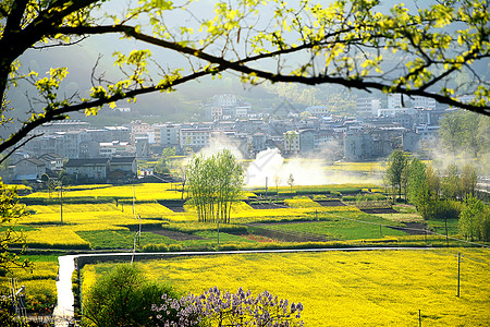 寥寥炊烟新农村油菜花海背景