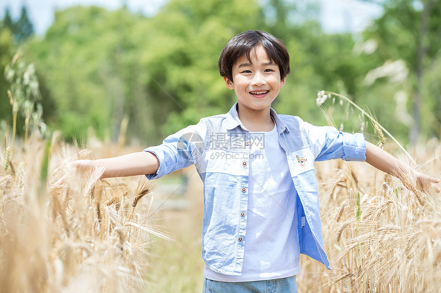 小男孩稻田奔跑图片