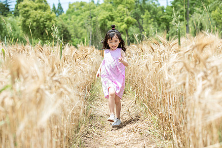 田野儿童小女孩稻田奔跑背景