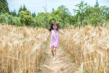 田野儿童小女孩稻田奔跑背景