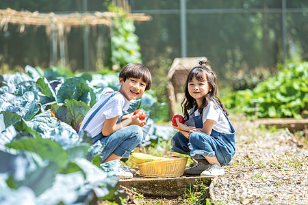 男孩女孩一起摘蔬菜图片