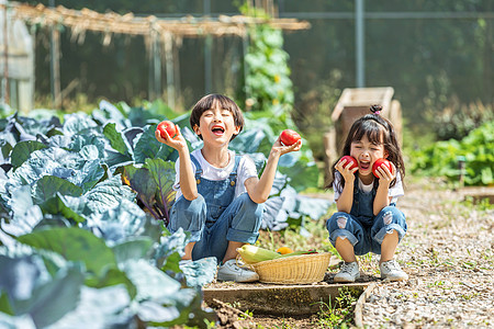 男孩女孩一起摘蔬菜背景图片