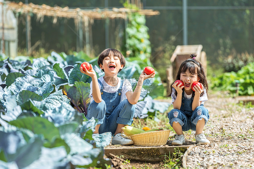 男孩女孩一起摘蔬菜图片