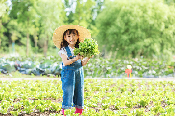 小女孩农场摘蔬菜图片