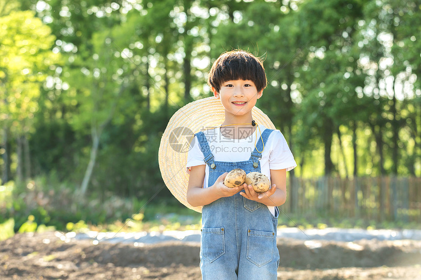小男孩手捧土豆