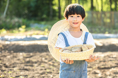 小男孩手捧土豆背景图片