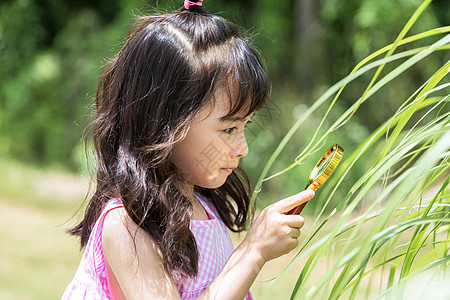 小女孩农场观察植物背景图片