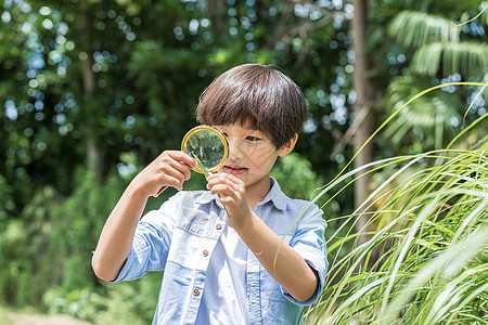 小男孩放大镜观察植物图片