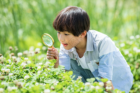 小男孩放大镜观察植物图片