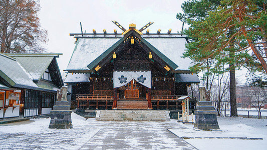 日本北海道神社日本旭川神社背景