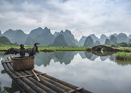 小溪边的水塘田野鱼塘边的鸬鹚背景